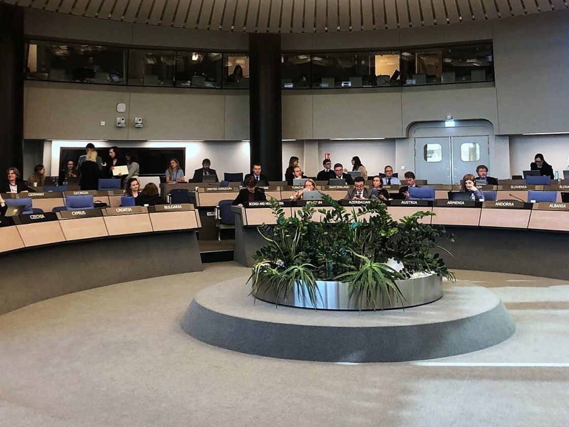 Docente da ESCS leva literacia mediática ao Conselho da Europa